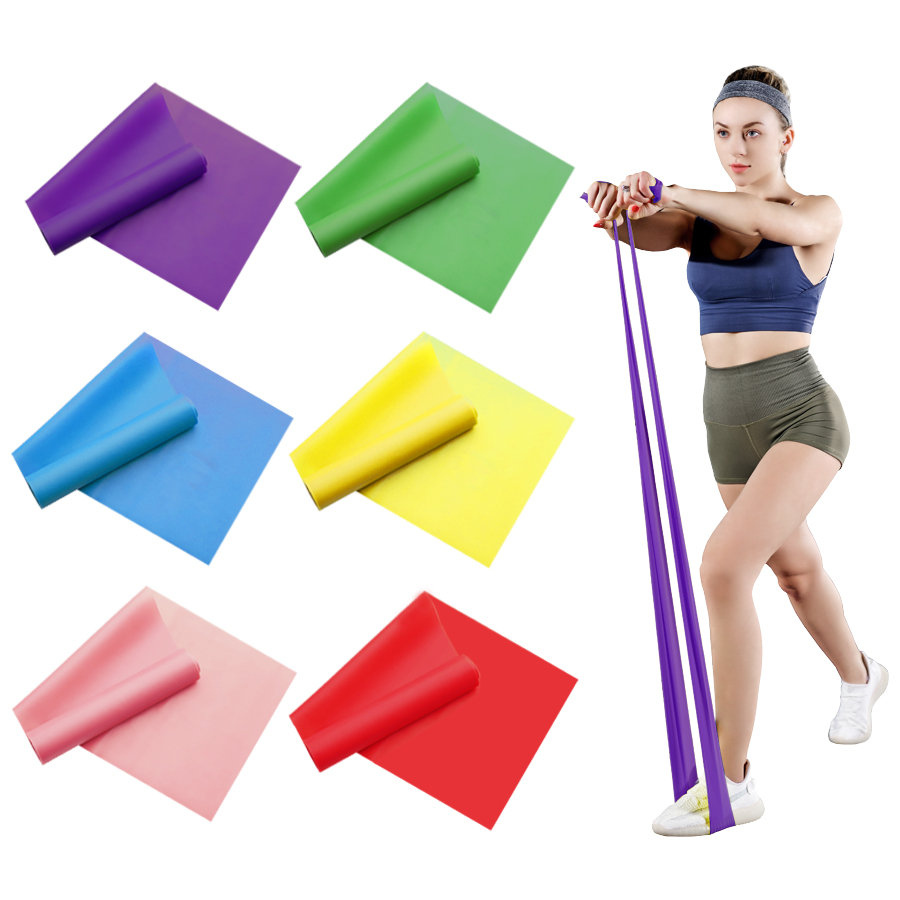 2/3/4/6 قطع من أربطة مقاومة ال - مراجعة Pilates Bar Kit With Resistance Bands وسعره